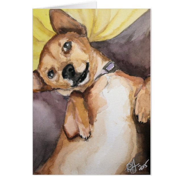 Pedro das Chiweenie (Vorne)