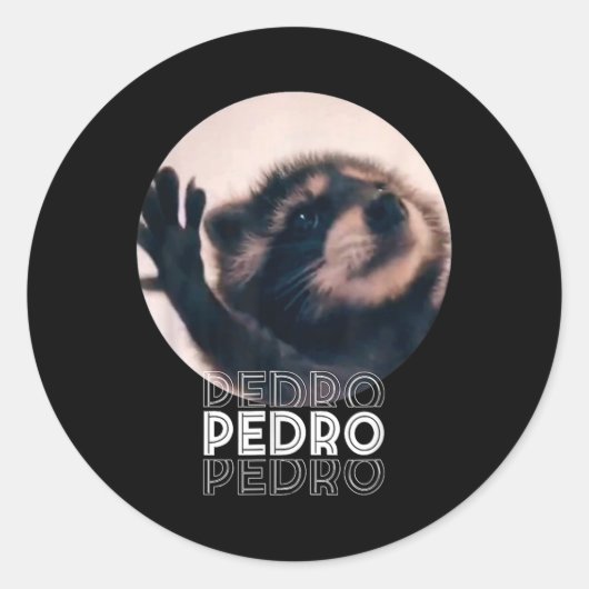 Pedro Racoon Dance Populäre Internet Meme Mapache Runder Aufkleber (Vorderseite)