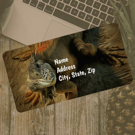 Pedro the Iguana 0768 Adresse Adressaufkleber