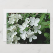 Pee Gee Hydrangea Blume Mit Monogramm Blank Note Karte (Vorderseite)