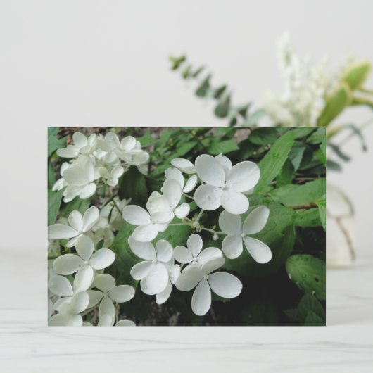 Pee Gee Hydrangea Blume Mit Monogramm Blank Note Karte (Stehend Vorderseite)