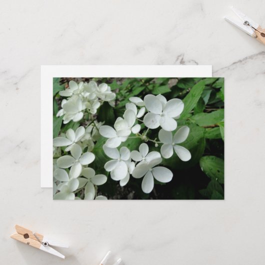 Pee Gee Hydrangea Blume Mit Monogramm Blank Note Karte (Vorderseite/Rückseite Beispiel)