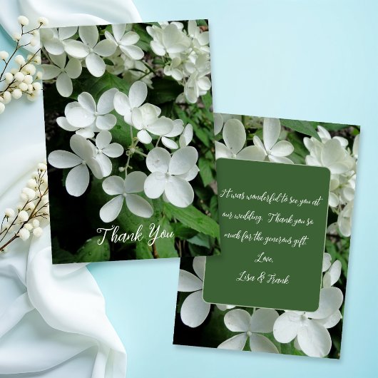Pee Gee Hydrangea Weiße Blume Blank Karte