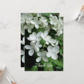 Pee Gee Hydrangea Weiße Blume Blank Karte (Vorderseite/Rückseite Beispiel)