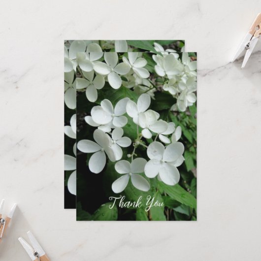 Pee Gee Hydrangea Weiße Blume Blank Karte (Vorderseite/Rückseite Beispiel)