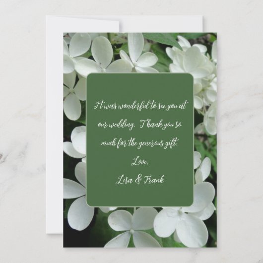 Pee Gee Hydrangea Weiße Blume Blank Karte (Rückseite)