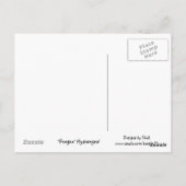 Peegee Hydrangea Postkarte (Rückseite)