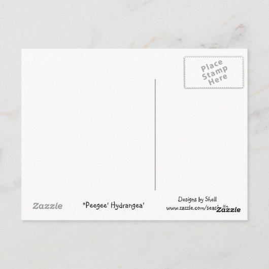 Peegee Hydrangea Postkarte (Rückseite)