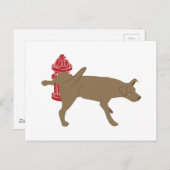 Peeing Dog Postkarte (Vorne/Hinten)