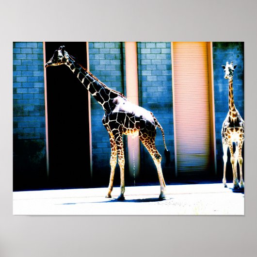Peeing Giraffe Poster (Vorne)
