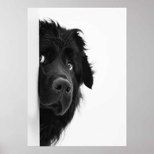 Peek-a-Boo Pup – Funny Dog Photography Print” Poster (Vorne)