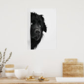 Peek-a-Boo Pup – Funny Dog Photography Print” Poster (Küche)