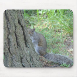Peek A Boo Squirrel - Mousepad