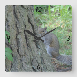 Peek A Boo Squirrel - Quadratische Wanduhr