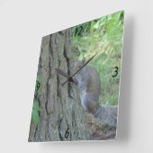 Peek A Boo Squirrel - Quadratische Wanduhr (Winkel)