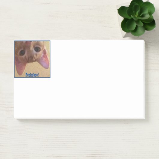 Peekaboo! Archie sieht dich! Post-it Klebezettel (Büro)