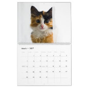 Peekaboo Cat Calendar Kalender (Mär 2027)