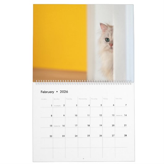 Peekaboo Cat Calendar Kalender (Feb 2026)