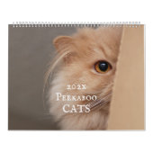 Peekaboo Cat Calendar Kalender (Titelbild)