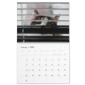 Peekaboo Cat Calendar Kalender (Jan 2027)