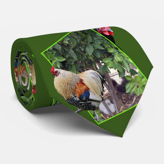Peekaboo Chickens, Neck Tie Krawatte (Gerollt)