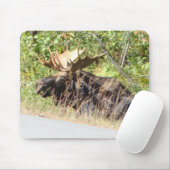 Peekaboo-Elche Mousepad (Mit Mouse)