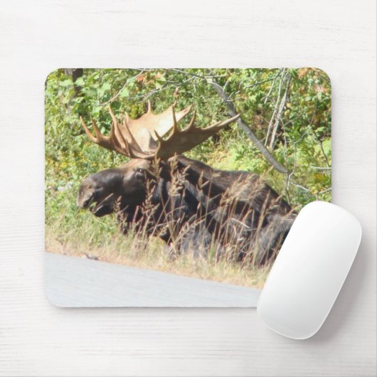Peekaboo-Elche Mousepad (Mit Mouse)