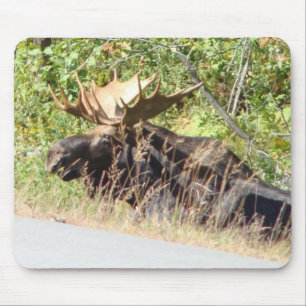 Peekaboo-Elche Mousepad