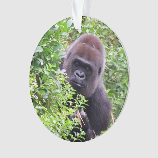 Peekaboo-Gorilla-Verzierung Ornament (Vorderseite)