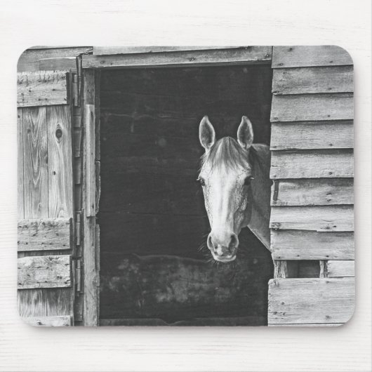 Peekaboo Gray Mare Horse Mousepad (Vorne)