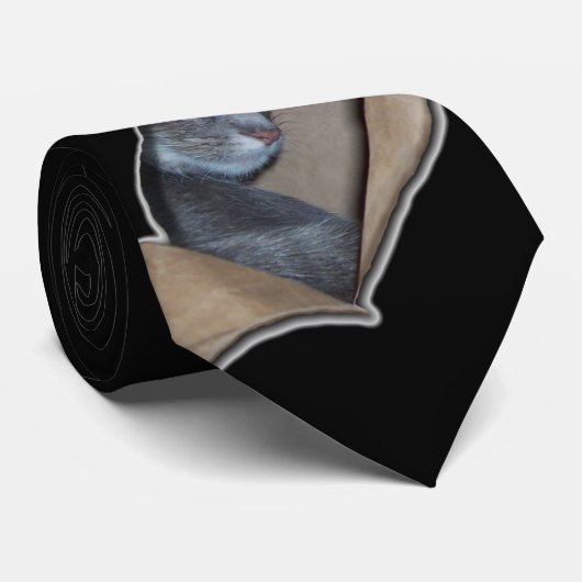 Peekaboo I sehen Mew Krawatte (Gerollt)