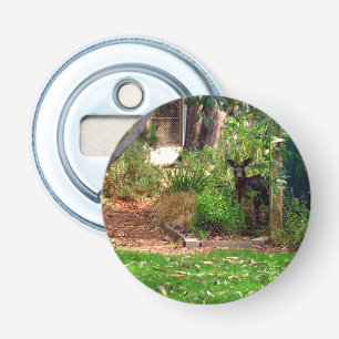 Peekaboo Kangaroo, Magnetic Bottle Opener. Flaschenöffner