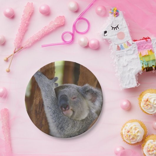 Peekaboo-Koala-Platte Pappteller (Party)