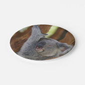 Peekaboo-Koala-Platte Pappteller (Schrägansicht)