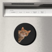 Peekaboo- Malerei Magnet (In Situ (Geschirrspüler))