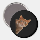 Peekaboo- Malerei Magnet (Vorderseite/Rückseite)