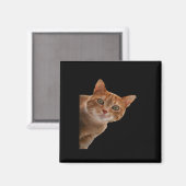 Peekaboo- Malerei Magnet (Vorderseite/Rückseite)