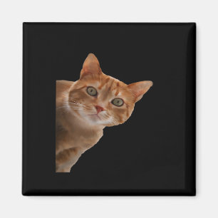 Peekaboo- Malerei Magnet