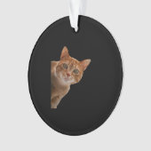 Peekaboo- Malerei Ornament (Vorderseite)