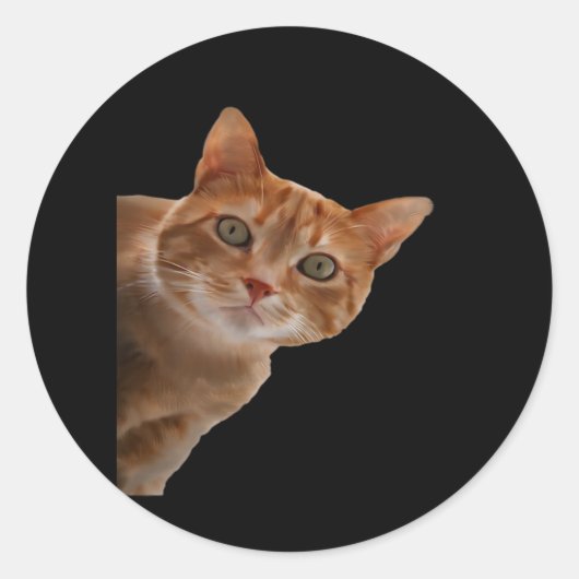 Peekaboo- Malerei Runder Aufkleber (Vorderseite)