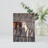 Peekaboo Paint Postkarte (Stehend Vorderseite)