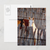 Peekaboo Paint Postkarte (Vorne/Hinten)