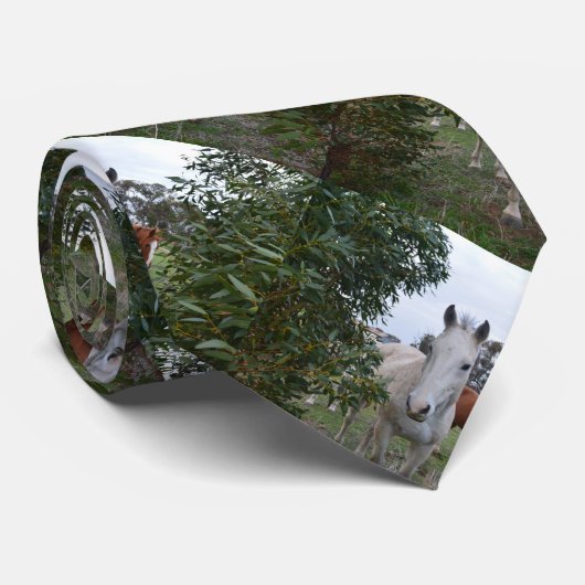 Peekaboo Pferde, Krawatte (Gerollt)