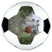 Peekaboo Pferde, Soccerball Fußball (Gedreht)
