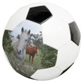 Peekaboo Pferde, Soccerball Fußball (Dreiviertel)