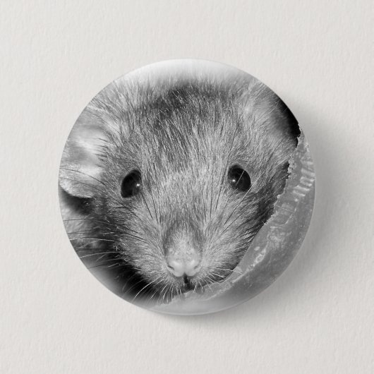 Peekaboo Rattie Knopf Button (Vorderseite)