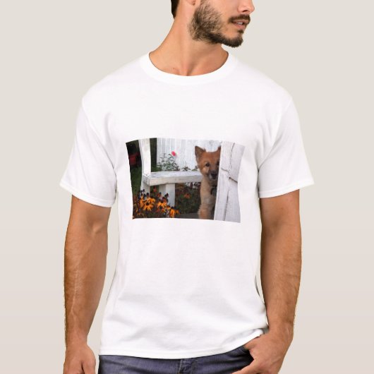 Peekaboo T T-Shirt (Vorderseite)