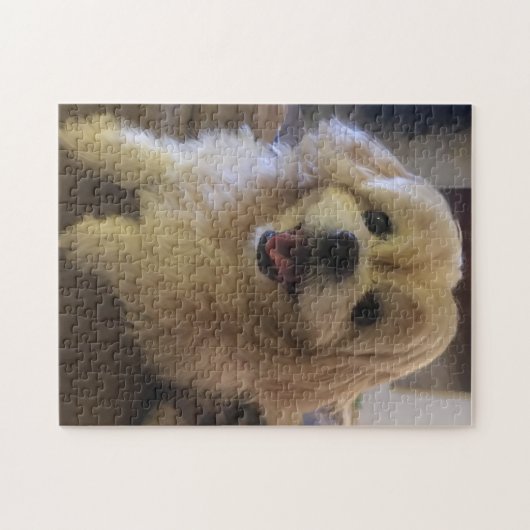 Peekapoo Dog Puzzle (Horizontal)