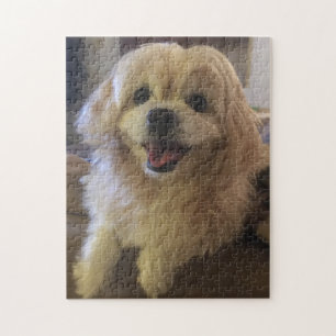 Peekapoo Dog Puzzle