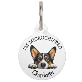 Peeking Black Corgi Puppy Personalisiert Haustiermarke